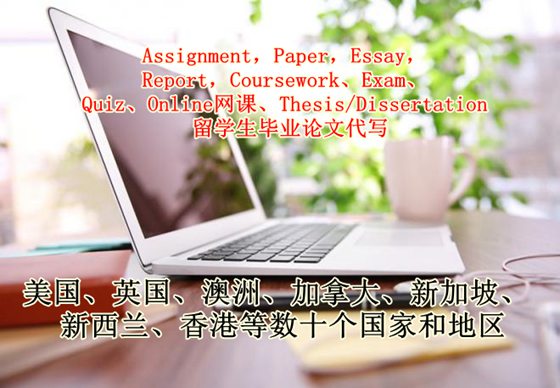 代写：Assignment，Paper，Essay，Report，Coursework、Exam、Quiz、Online网课、Thesis/Dissertation留学生毕业论文代写