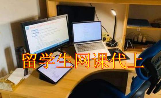 美国大学网课代上,网课考试代考，Online course，加拿大代考，exam代考，澳洲网课代考,留学生网上Quiz/Test/Exam代考